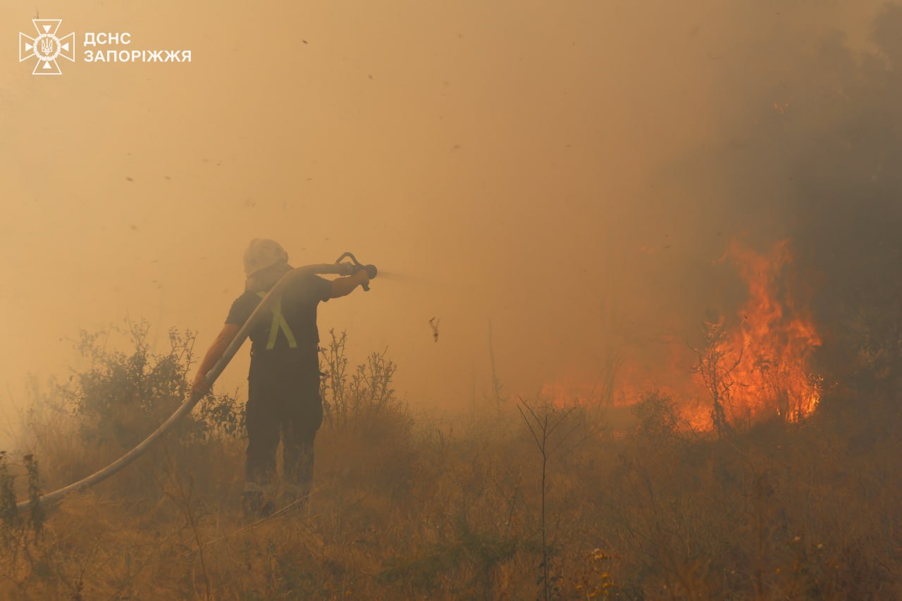 Запорізькі рятувальники ліквідовують масштабну пожежу на острові Хортиця. ФОТО