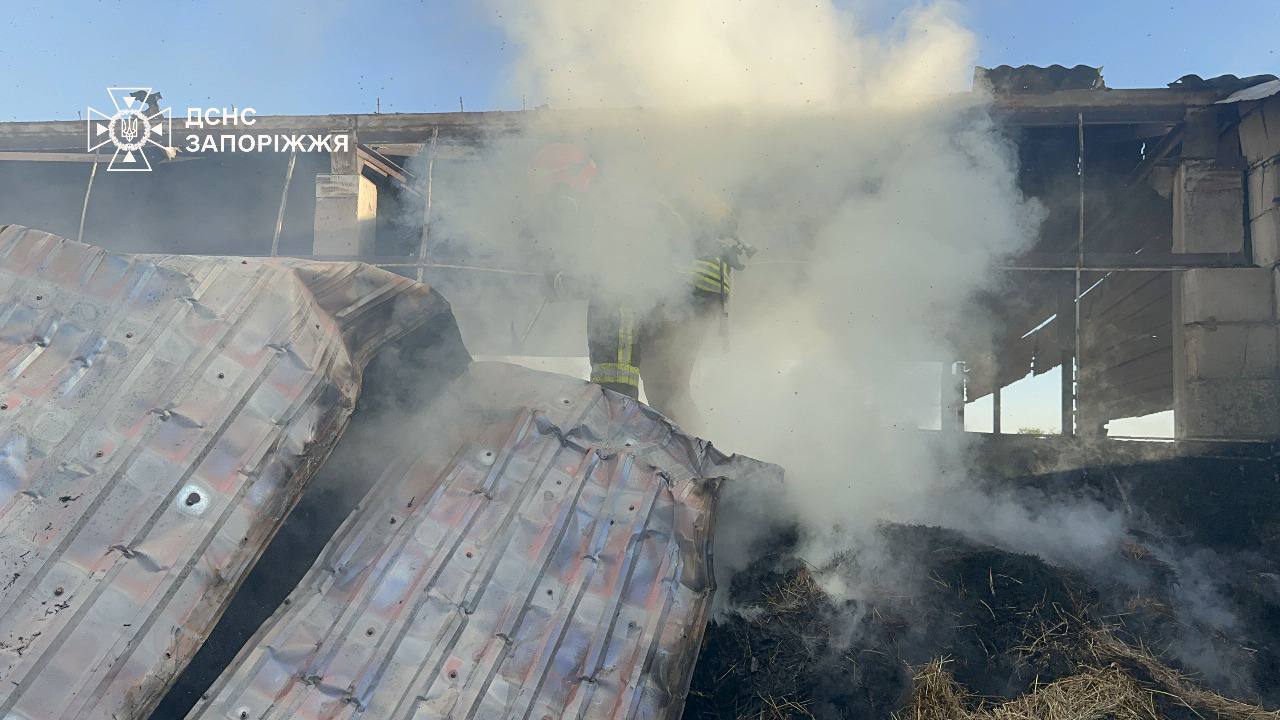 Запорізькі рятувальники ліквідували масштабну пожежу на території кінного клубу. ФОТО