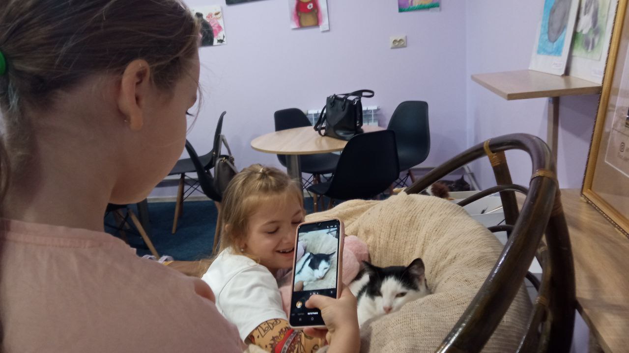«Коти, кава і ти»: як у Запоріжжі працює єдине котокафе з особливими пухнастиками. ФОТО