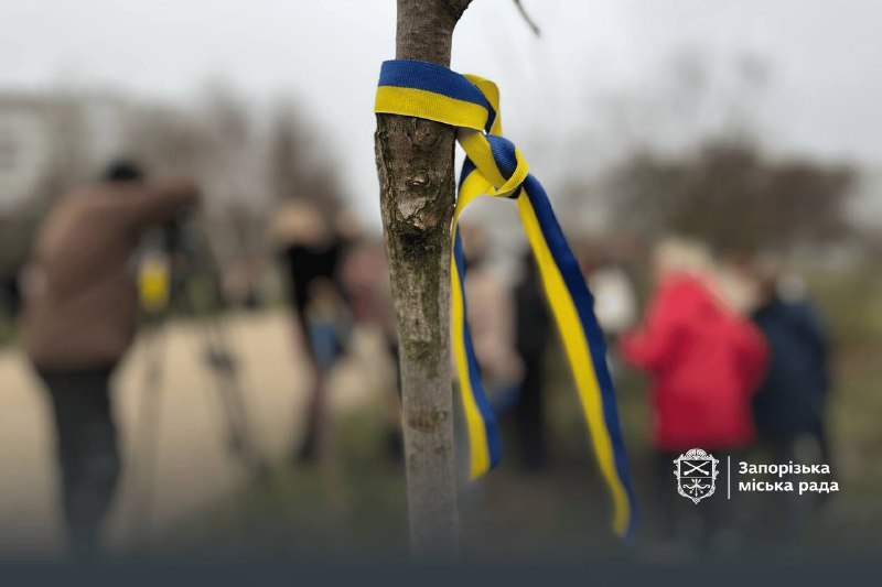 У Запоріжжі триває створення Алеї Гідності. ФОТО