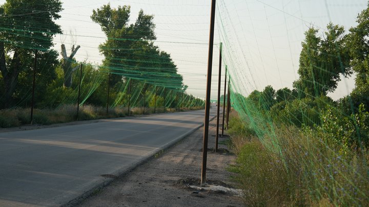 Запоріжжя може отримати особливий правовий статус: що відомо Запоріжжя може отримати особливий правовий статус: що відомо